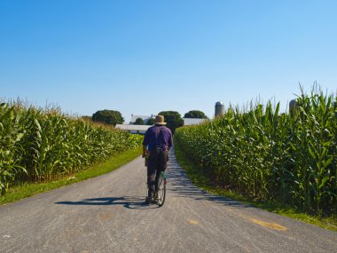 Amish Farmer riding a bicycle clipart