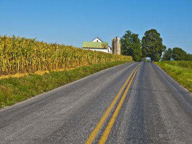 Amish farm, lancaster ABD