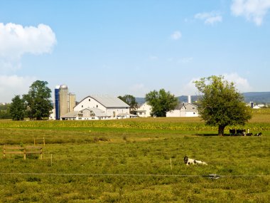 Amish Farm, Lancaster USA clipart