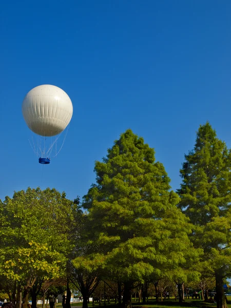 Observatory Balloon — Stock Photo, Image