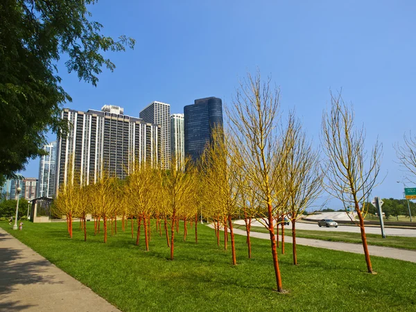 Geschilderde bomen in butler veld, chicago — Stockfoto