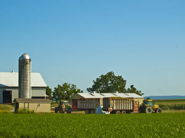 Амішів ферми, Ланкастер США — стокове фото