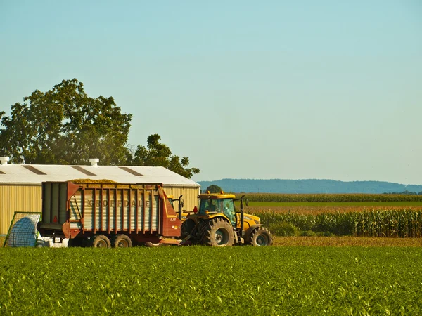 Урожай трактор амішів фермі, Ланкастер США — стокове фото