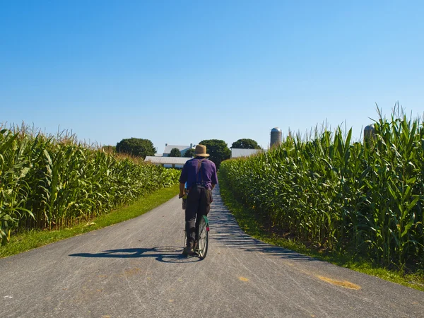 Rolników amiszów, jazda na rowerze — Zdjęcie stockowe