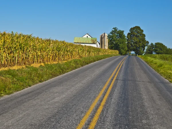 Amish boerderij, lancaster usa — Stockfoto