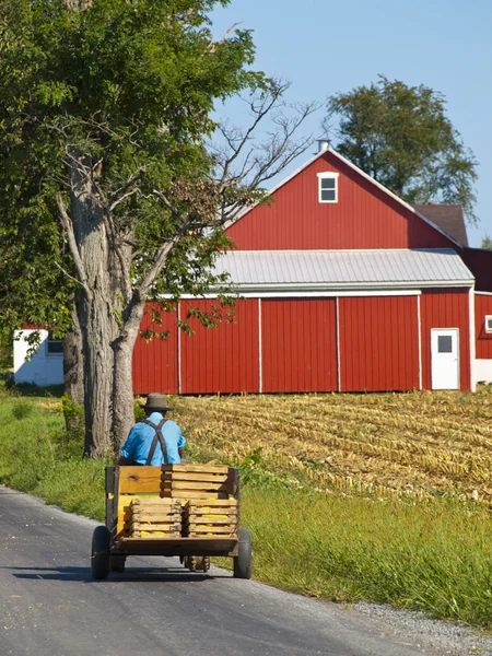 Amish farmář — Stock fotografie