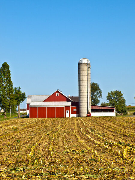 Фарм Амиш, США
