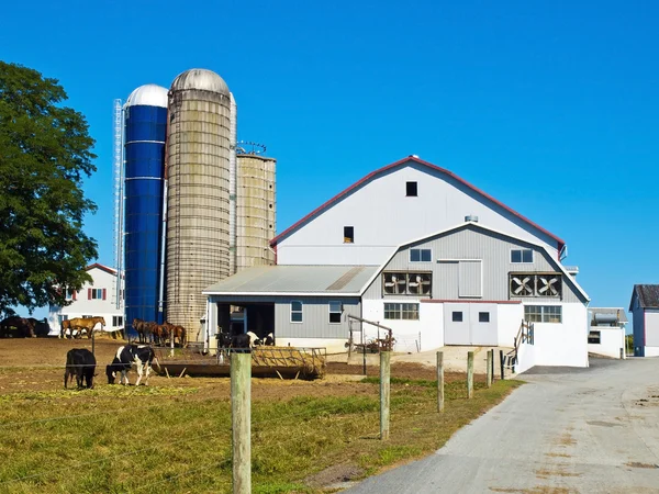 Amish boerderij, lancaster usa — Stockfoto