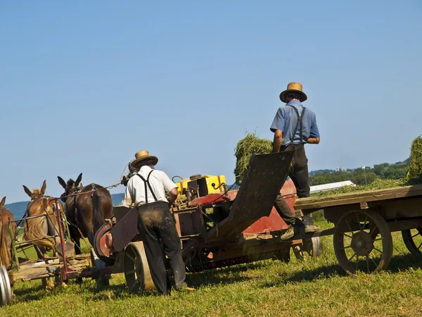 Amish gazdák — Stock Fotó