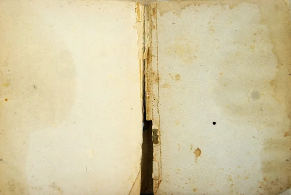 Boş sayfaları olan eski kitap — Stok fotoğraf