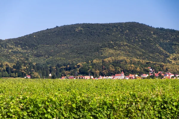 Wijn dorpje in de pfalz, Duitsland (weinstra — Stockfoto