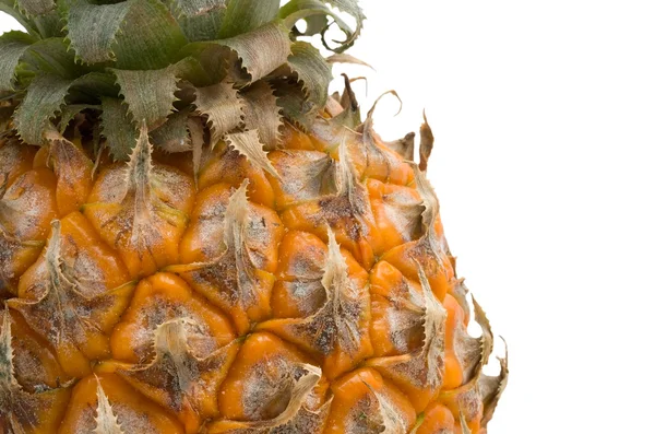 Ripe pineapple Royalty Free Stock Images