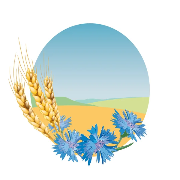 小麦和玉米花. 图库矢量图片