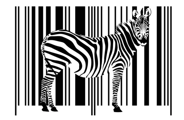 stock vector Zebra