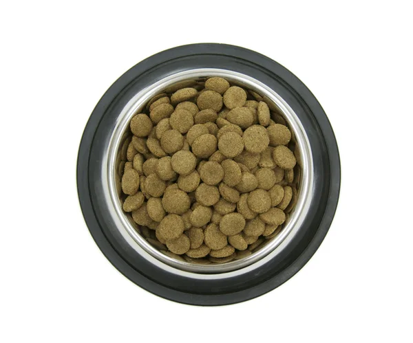 Сухой корм для домашних животных в миске — стоковое фото