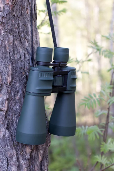 stock image Binoculars hangs on a tree