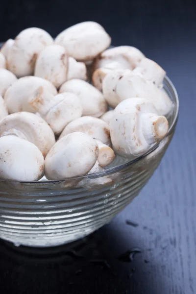 stock image Mushrooms washing