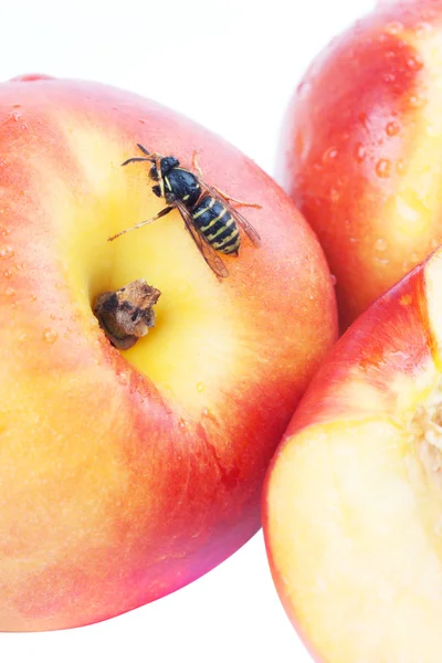 Wasp on peaches — Stock Photo, Image