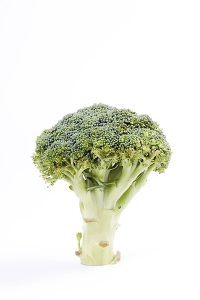Brokkoli – stockfoto