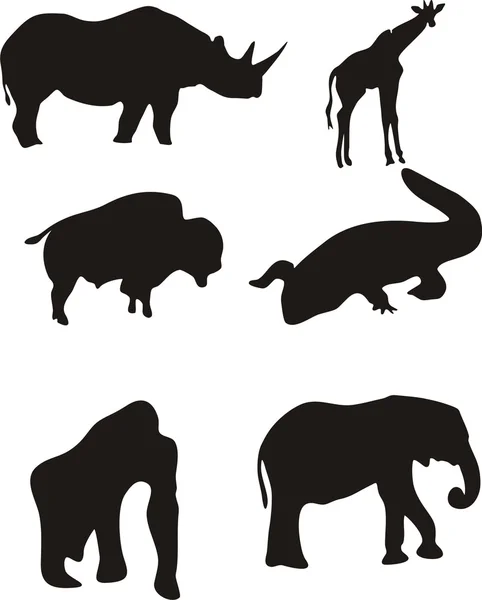 主要动物非洲 — 图库矢量图片