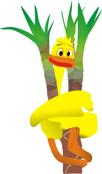 Duck zitten in een palmboom — Stockvector