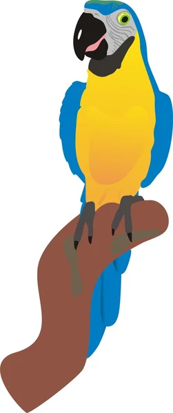 Konuşan papağan — Stok Vektör
