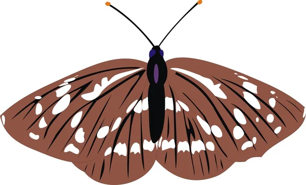 Η γκρι πεταλούδα — Διανυσματικό Αρχείο