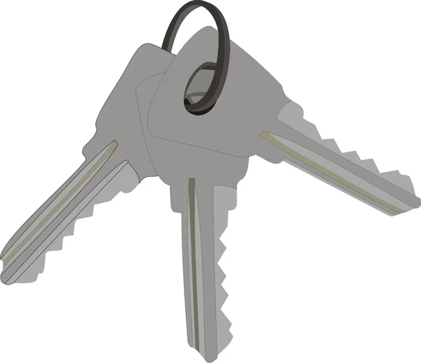 Three iron keys — Stock Vector