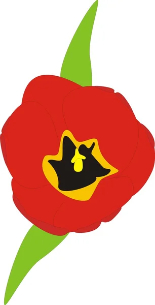 Lonely red tulip — Stock Vector