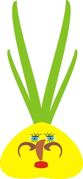 Oignons — Image vectorielle