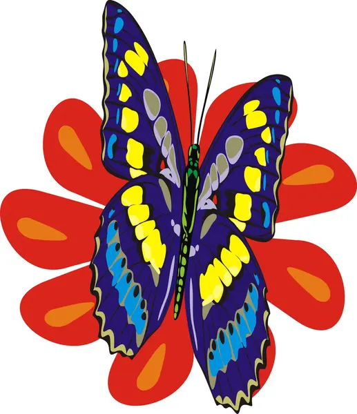 Der Schmetterling und eine Blume — Stockvektor