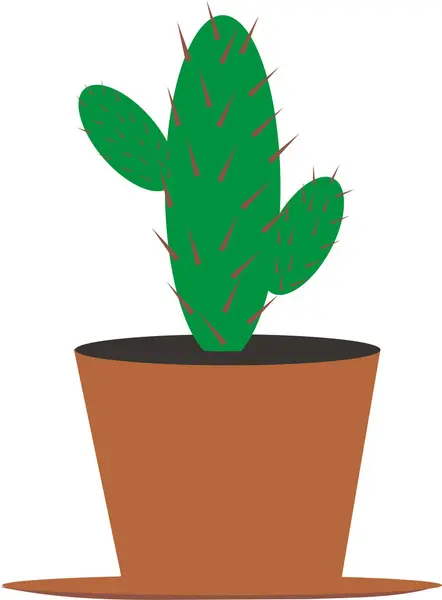 Cactus — Vector de stock