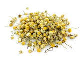 Medicinal chamomile herbs