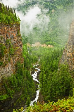 Canyon of Spahats Creek in Wells Gray Provincial Park, Canada clipart
