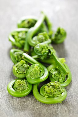 Fiddleheads clipart