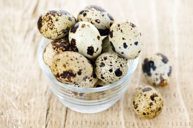 Quail eggs clipart