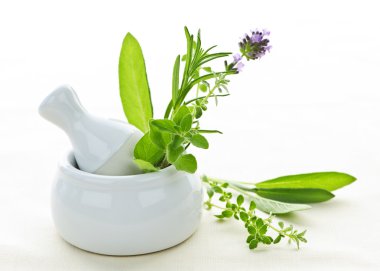 Healing herbs in mortar and pestle clipart