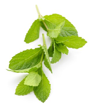 Mint sprigs clipart