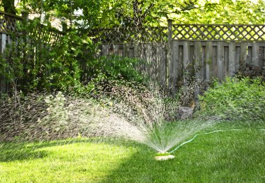 Lawn sprinkler watering grass clipart