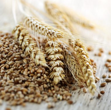 Whole grain wheat kernels closeup clipart