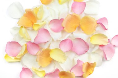 Rose petals background clipart