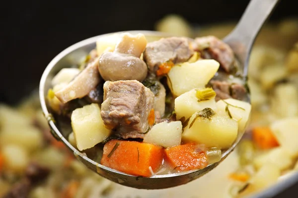 Beef stew in serving spoon — Stock Photo, Image