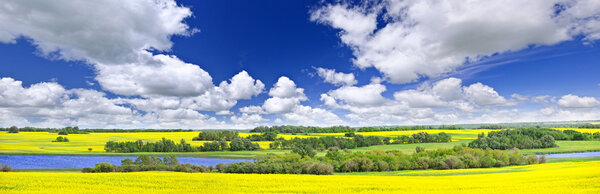 Prairie panorama in Saskatchewan, Canada