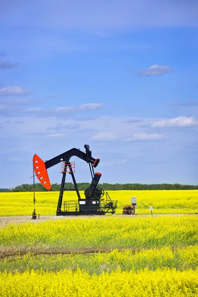 Pompe à huile à hocher la tête dans les Prairies — Photo