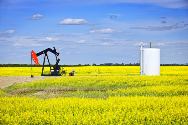 Nodding oil pump in prairies