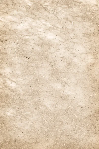 Фон пергаментной бумаги — стоковое фото