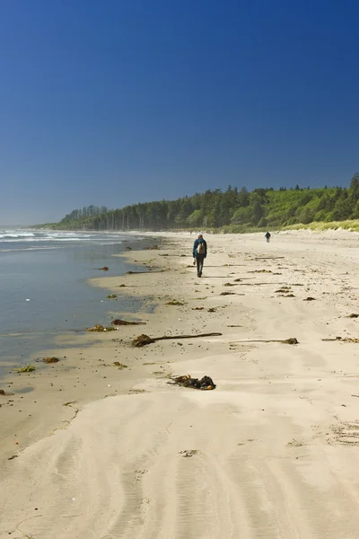 Playa de arena en el Parque Nacional Pacific Rim en Canadá — Foto de Stock