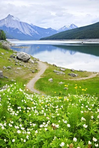 贾斯珀国家公园，加拿大在山下湖 — 图库照片