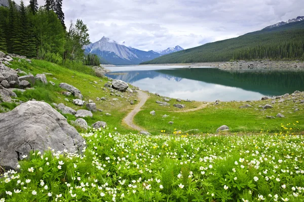 Montanha lago no Parque Nacional Jasper, Canadá — Fotografia de Stock