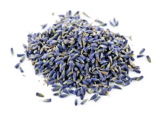 Dried lavender herb flowers — Stock Photo, Image